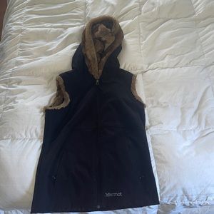 Marmot: black with fur accents.